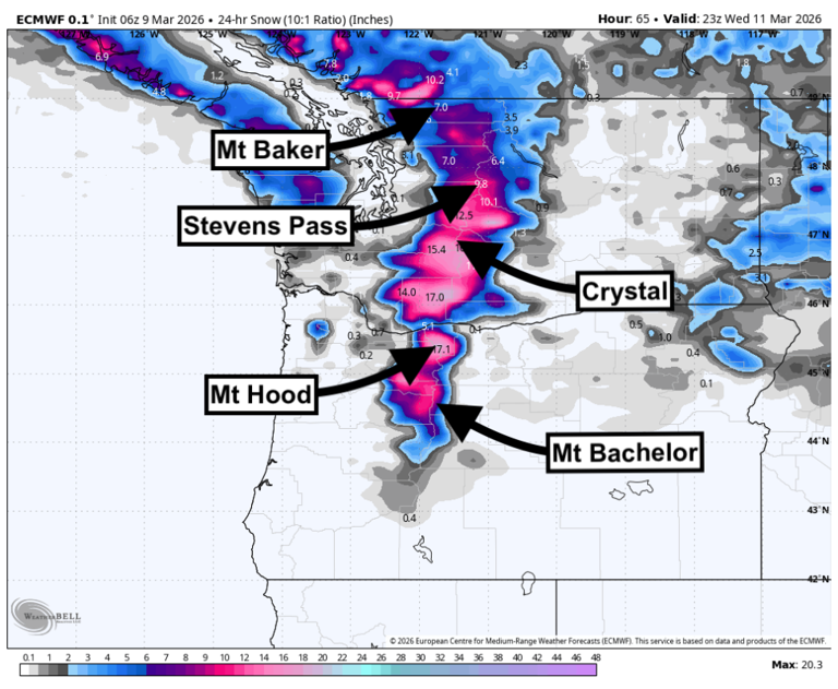 Brace for impact: 100 inches of snow forecasted for Washington
