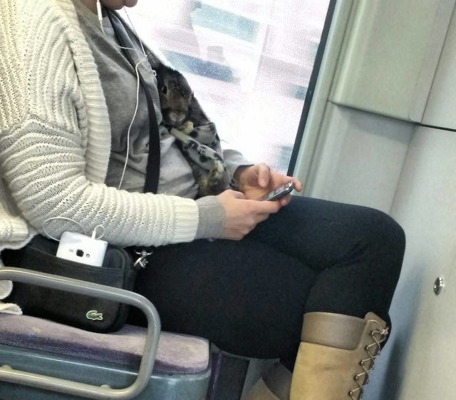20 pics where sanity was caught napping