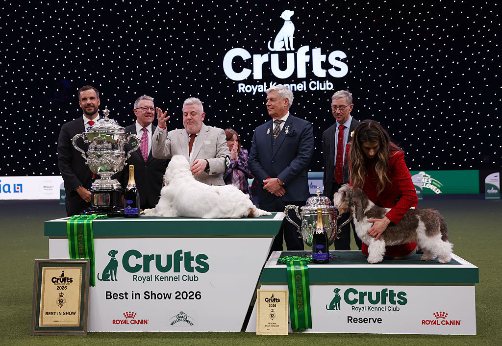 Crufts 2026 best in show in pictures: Here are 11 amazing photos of ...