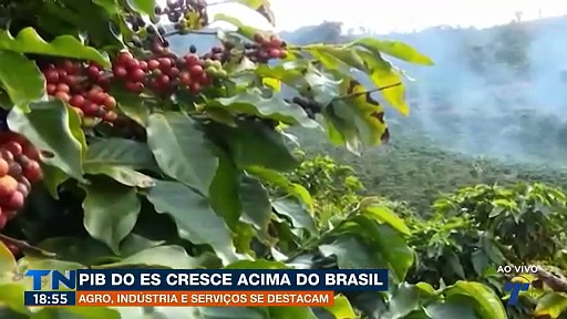 PIB do Espírito Santo cresce acima da média nacional