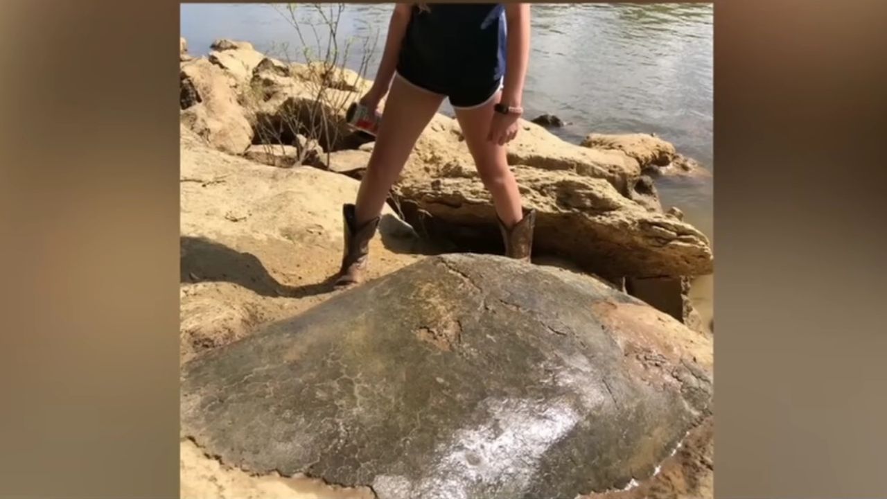 ‘It is beyond one-in-a-million’: Family discovers 32-million-year old ...