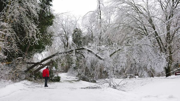 A storm in Ontario will bring up to 15 cm of snow, ice pellets and ...
