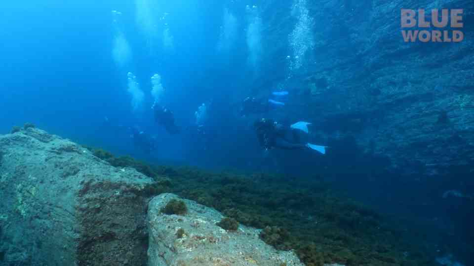 We entered the volcanic reef - something was watching us