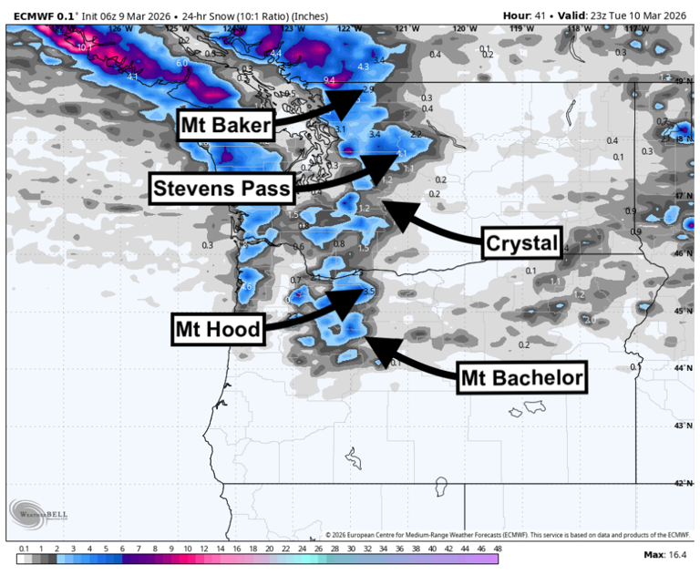 Brace for impact: 100 inches of snow forecasted for Washington