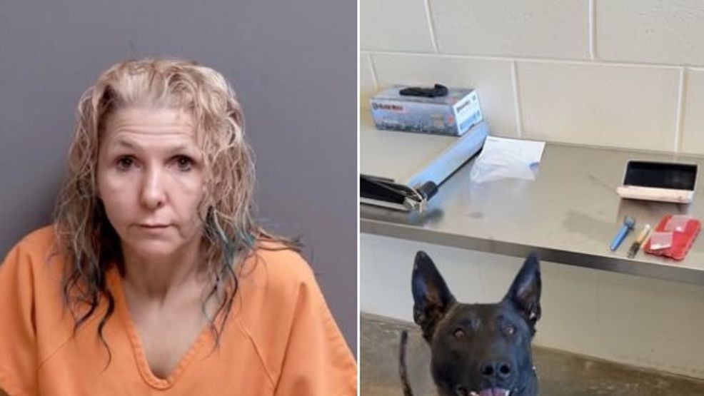 Traffic stop for speeding in Salem Township leads to drug arrest, K-9 ...