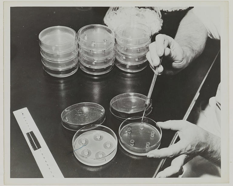 The 7 greatest inventions and 7 that fell by the wayside
