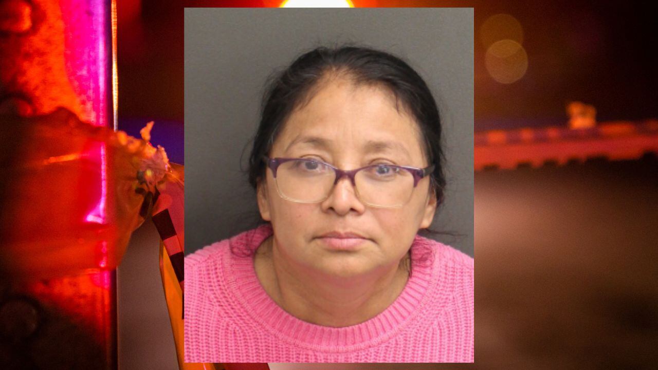 Florida woman faces charges for fleeing crash scene, tampering with ...