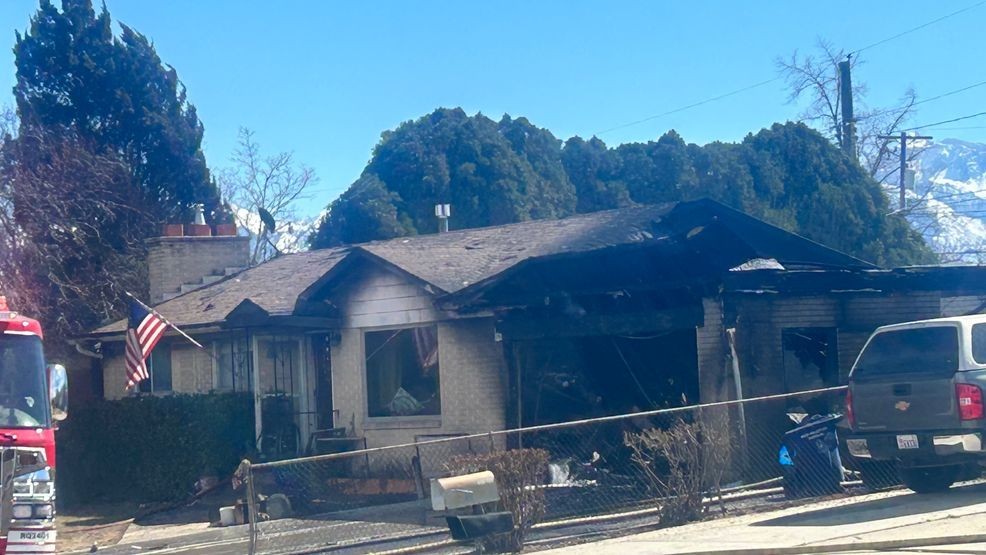 Neighbors spot blaze as firefighters rescue dog from house fire