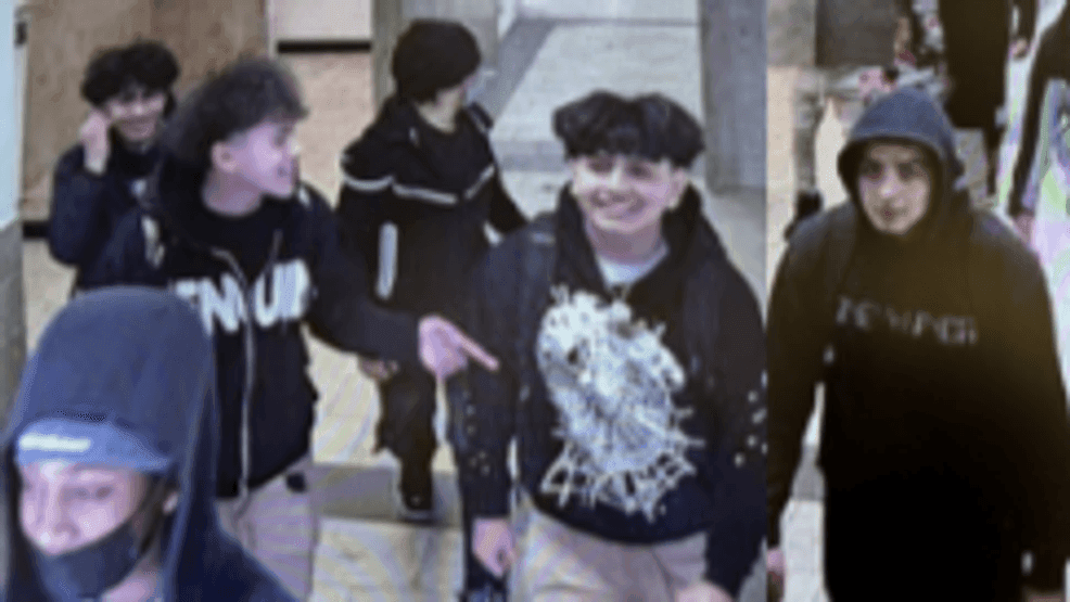 Man stabbed by group of 7 teens in Wheaton Mall restroom; $10K reward ...