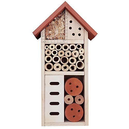 This March garden mistake could reduce your pollinator numbers and crop ...