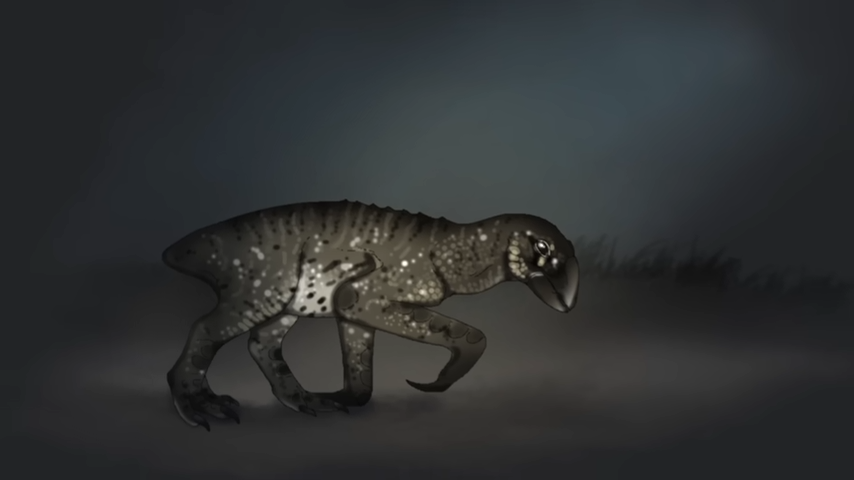The alien world where birds became everything