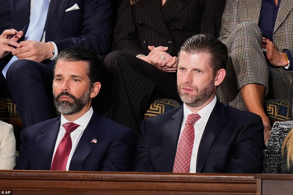 Report: Trump's sons face corruption accusations over drone investment