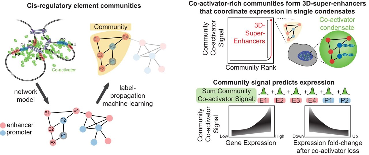 Mapping 3D-super-enhancers with machine learning to pinpoint regulators ...