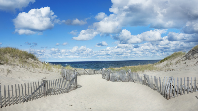 The 5 best beaches in Massachusetts, according to reviews