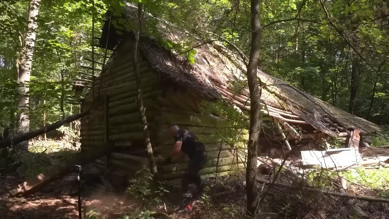 Exploring the process of building a unique treehouse