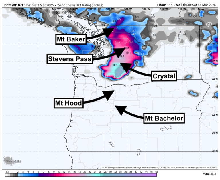 Brace for impact: 100 inches of snow forecasted for Washington