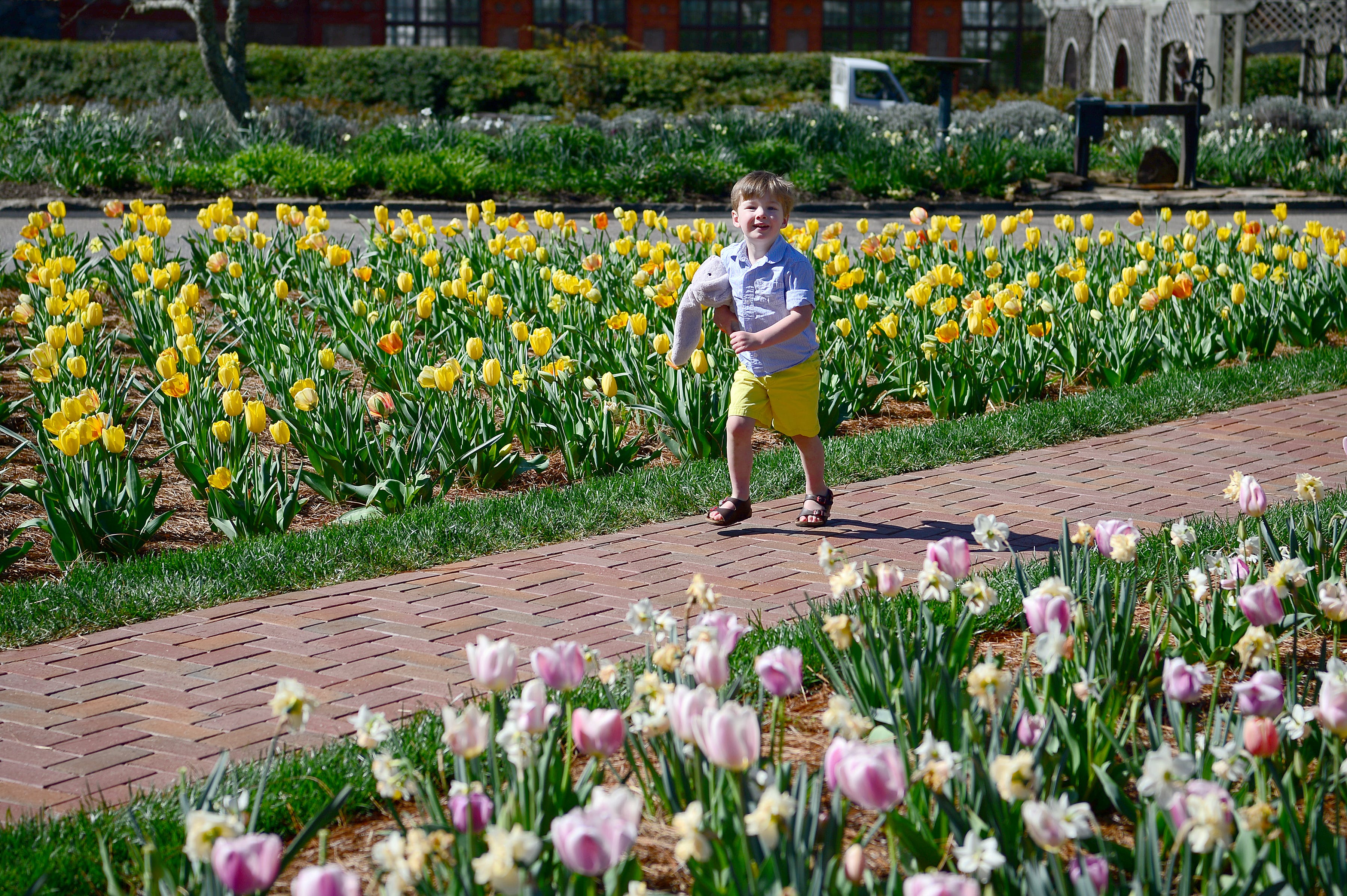 It is almost spring. Everything to know about the 2026 spring equinox