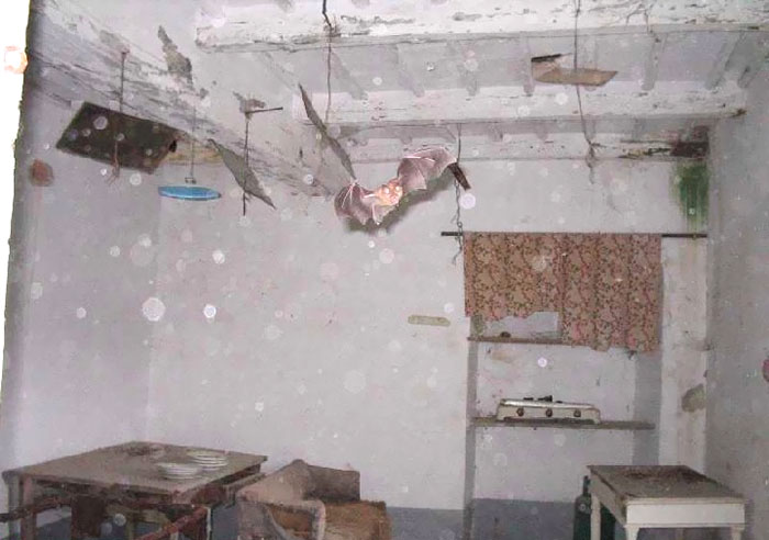 25 Funny Real Estate Listings That Are Hard To Believe Exist