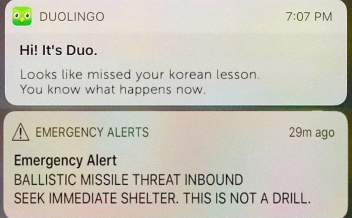 21 hilarious Duolingo memes