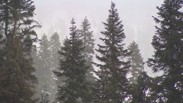 Blizzard warning issued for Cascades as winter storm approaches