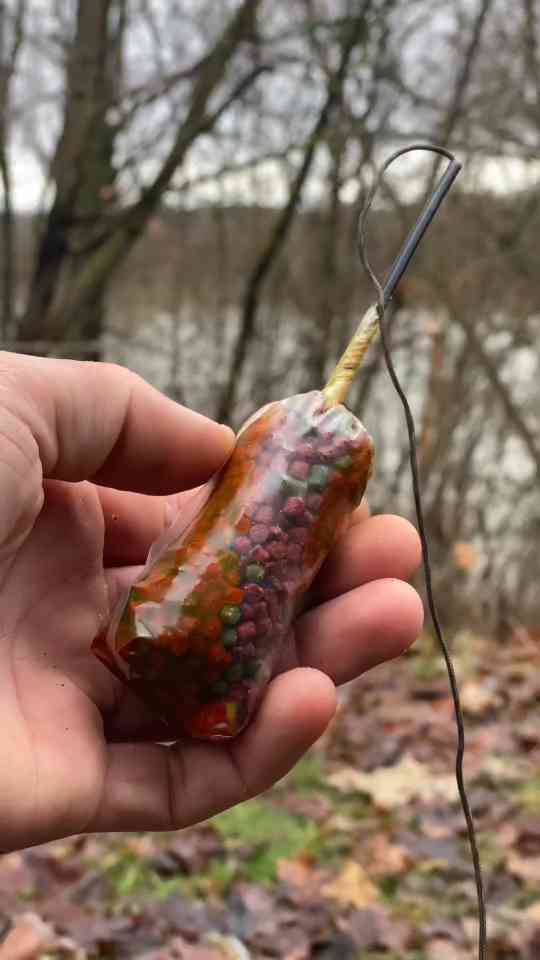 Best carp rig montage setup for successful fishing