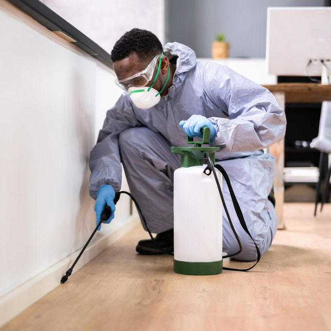 How to get rid of a wasp nest inside your wall