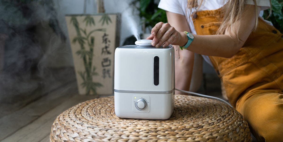 How to sanitize a humidifier the right way, according to a scientist