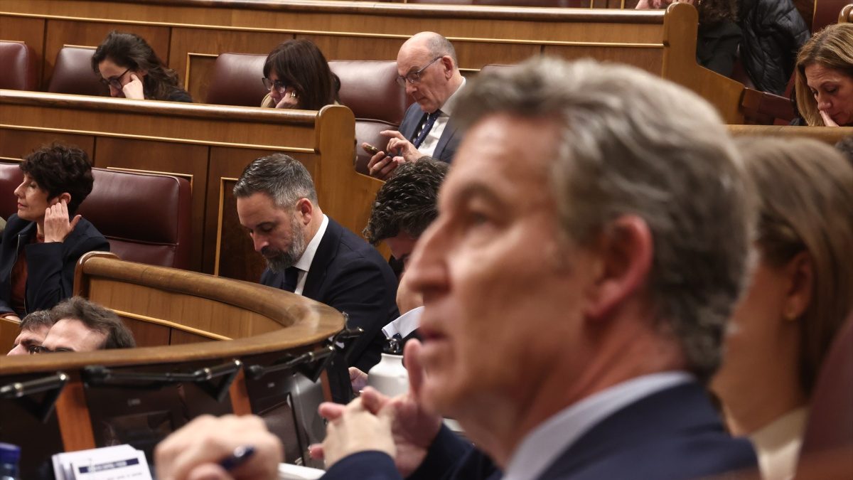 Feijóo y la patita de Vox en el Congreso