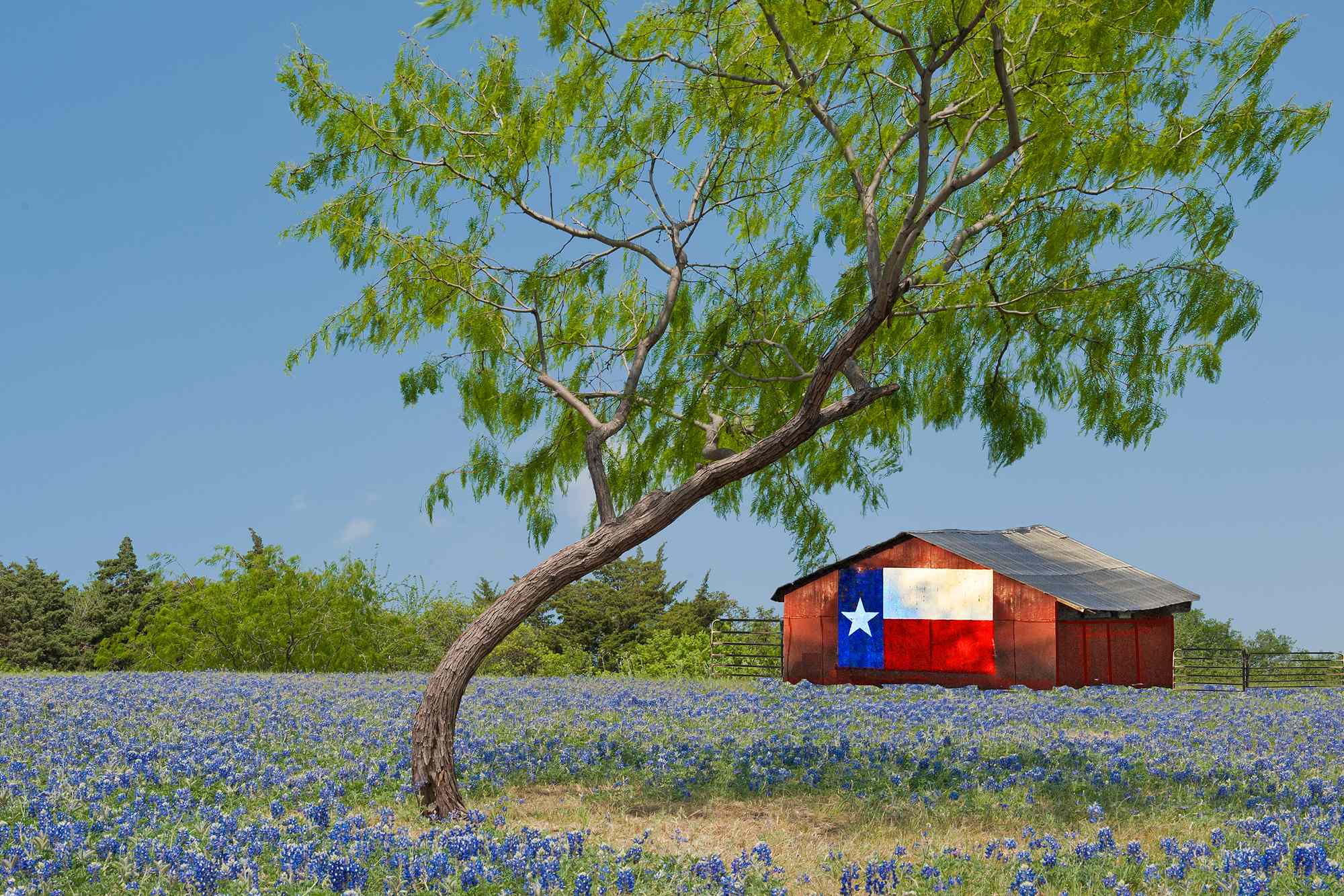 I've lived in Texas for 25 years—and this is the no. 1 travel mistake ...