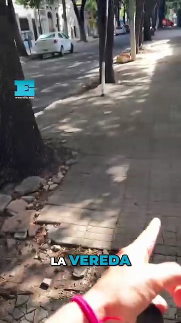 El reclamo de un vecino en La Plata por el abandono de los árboles y ...