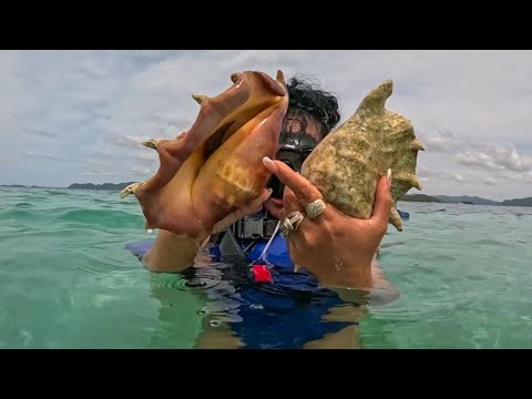Guests tried giant shellfish for the first time