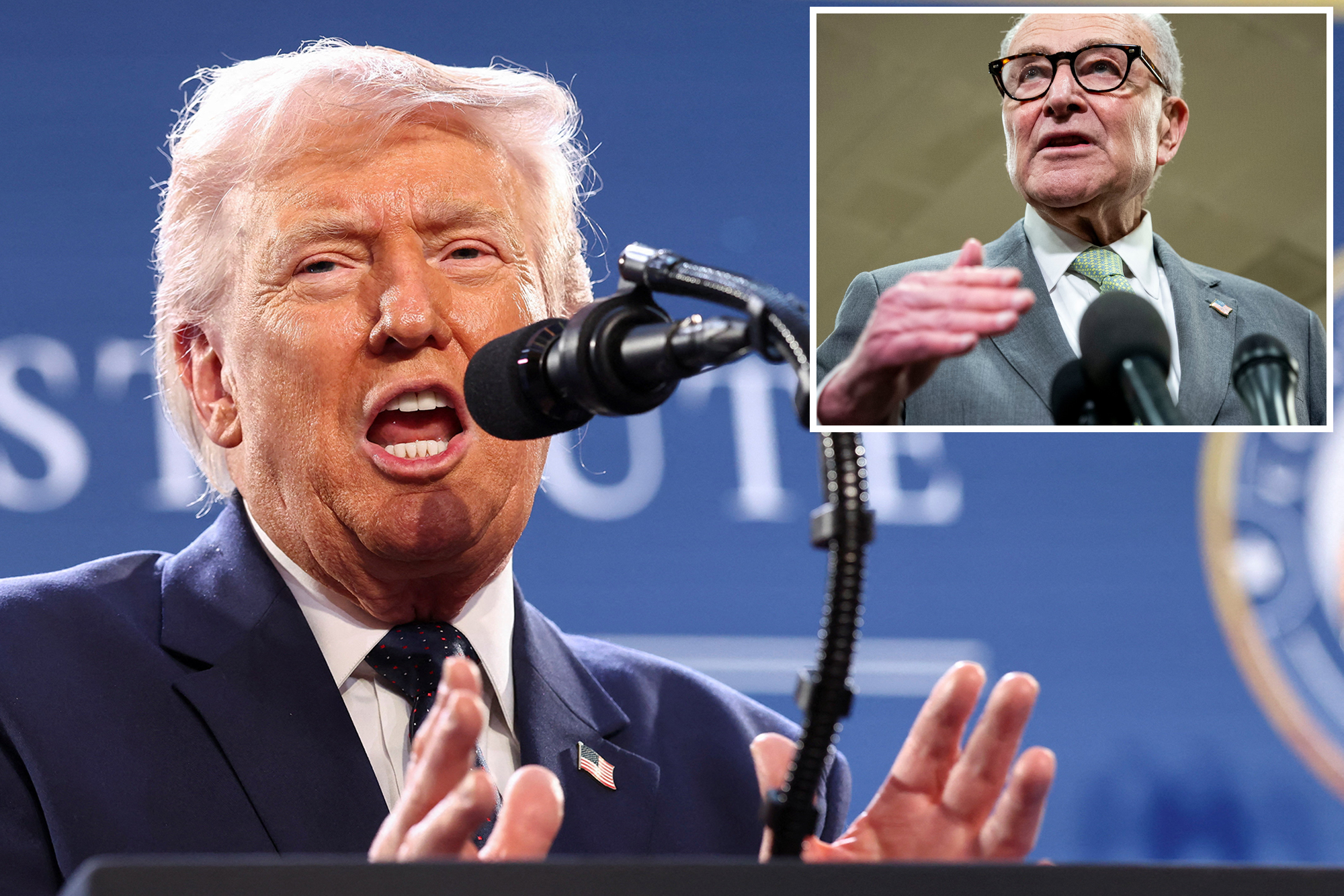 Trump says voter ID laws will save GOP in midterms — slams Schumer over ...