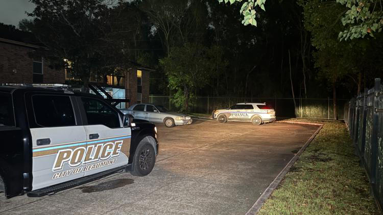 Beaumont man pleads guilty to aggravated assault in 2024 shooting at ...
