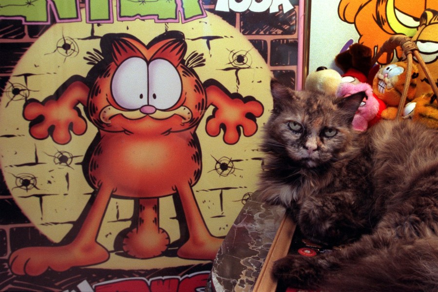 'Garfield' 2D animated series ordered at Paramount+