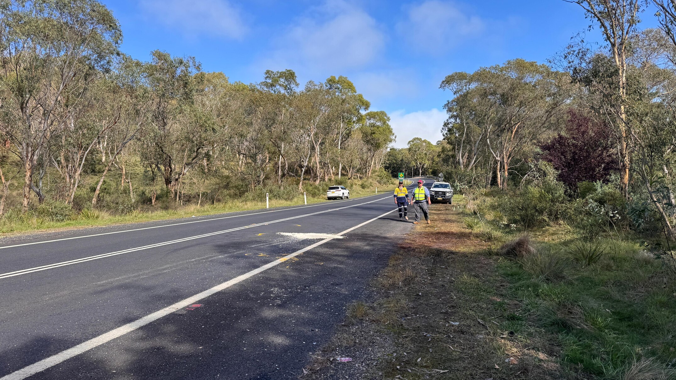 Three dead in southern NSW after head-on crash on Kings Highway at Monga