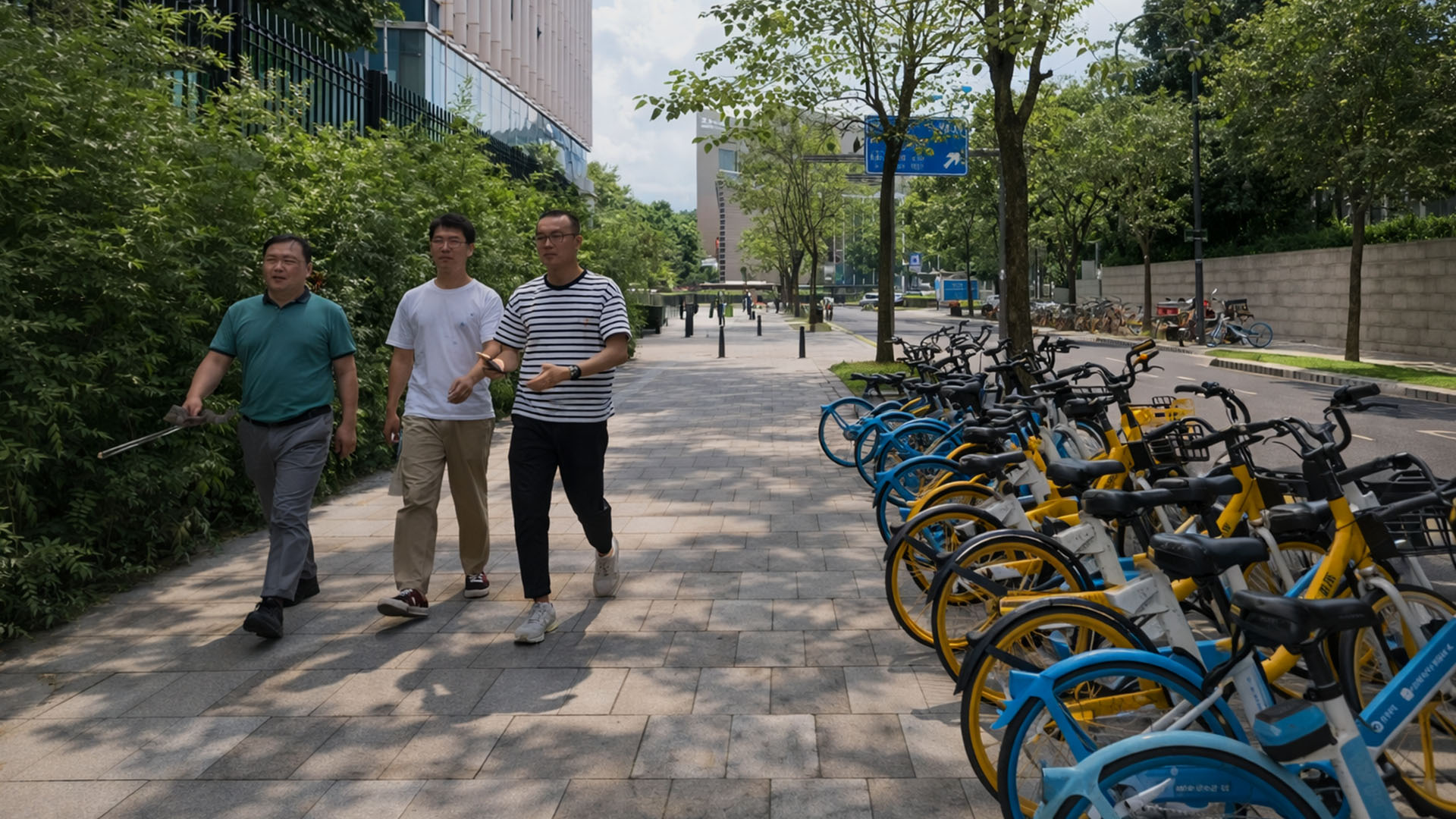 Rows Of Shared Bikes Wait Beside Sidewalk China