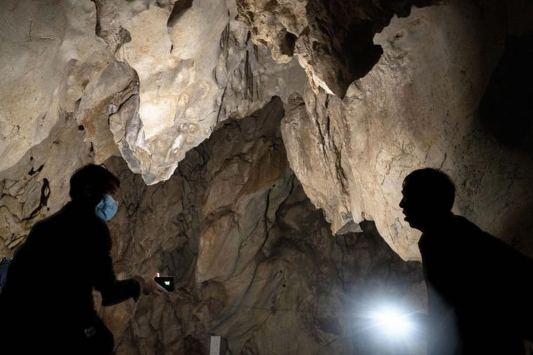 Study suggests COVID-19 likely originated naturally