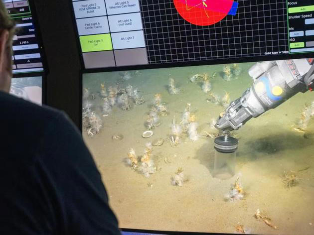 Millionen Jahre altes Rätsel gelöst: So entstanden Pflanzen, Tiere ...