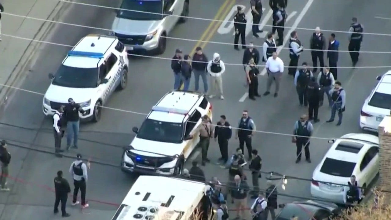 Chicago police shoot, kill driver who fled, hit a pedestrian, CTA bus ...