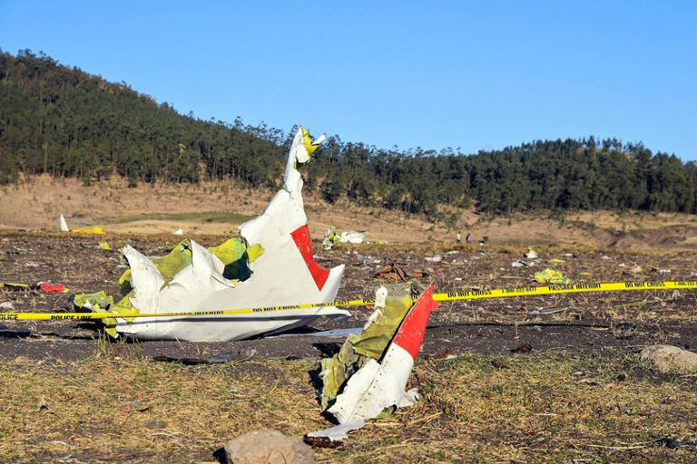 Pilot screamed two desperate words before plane slammed into into ...