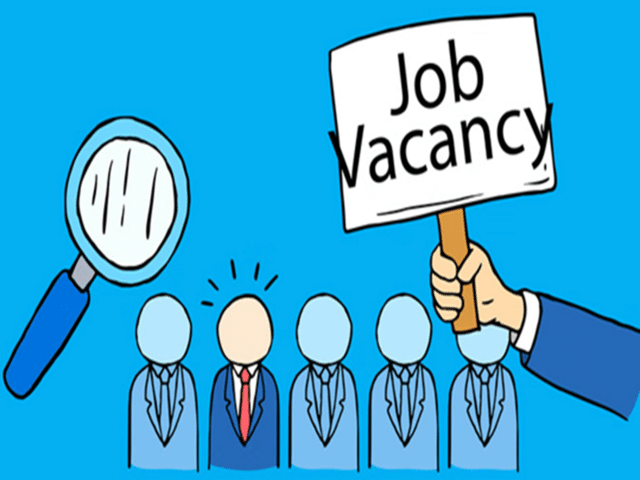 HPRCA coach jobs: An opportunity for graduates and experienced players ...