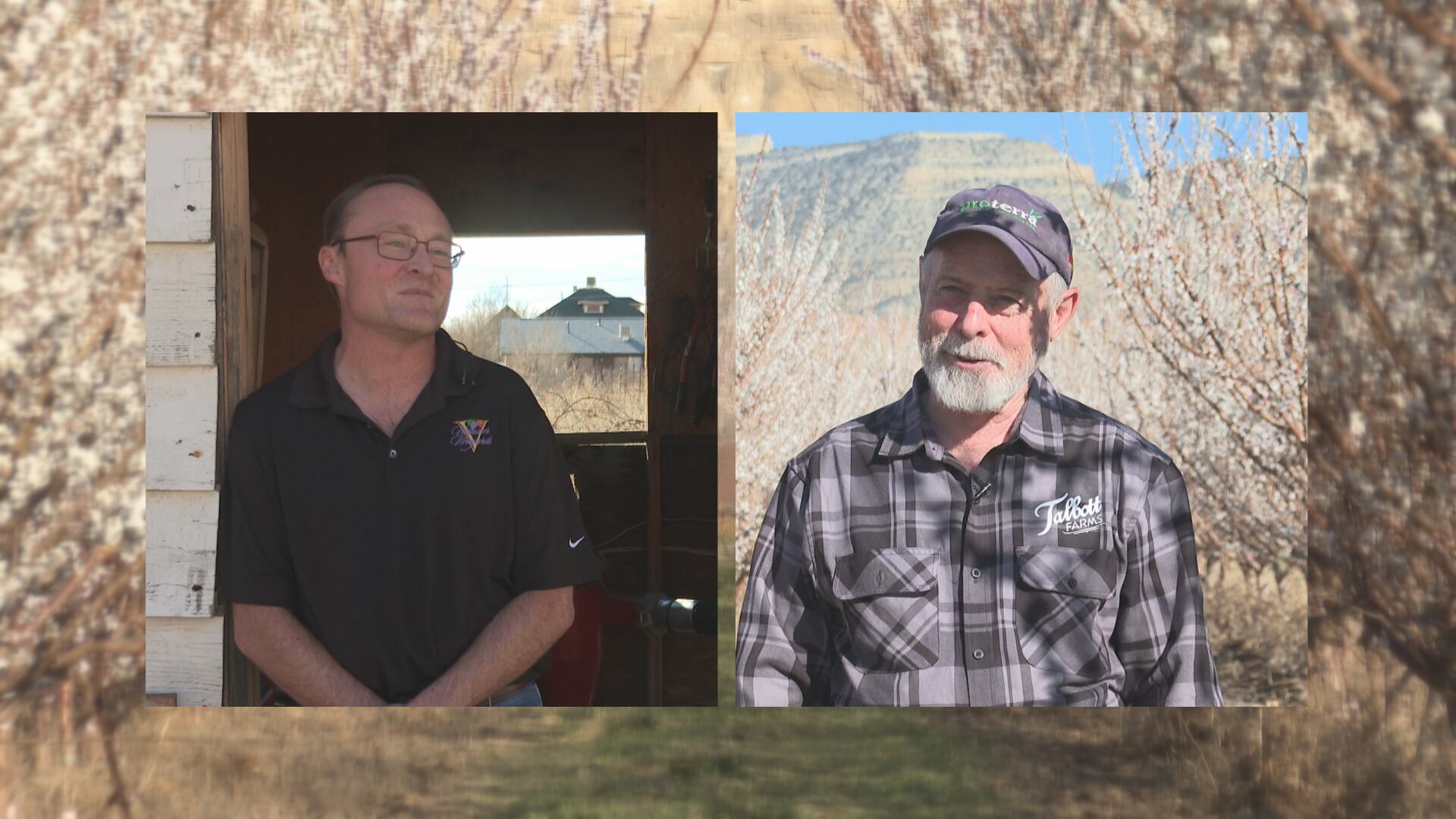 Grand Valley agricultural producers eye water supply, zebra mussel ...