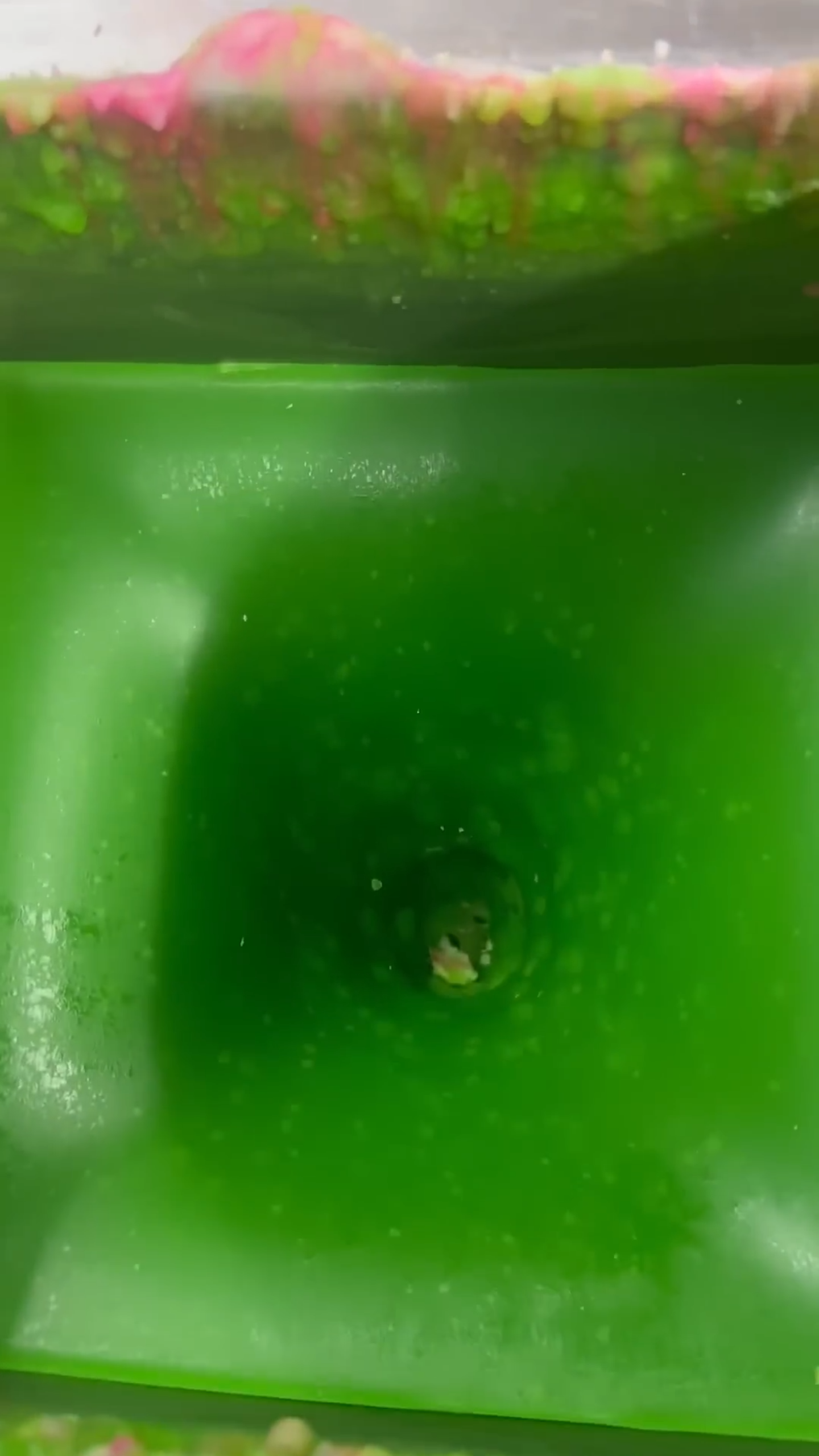 The moment wax changes color in candle making