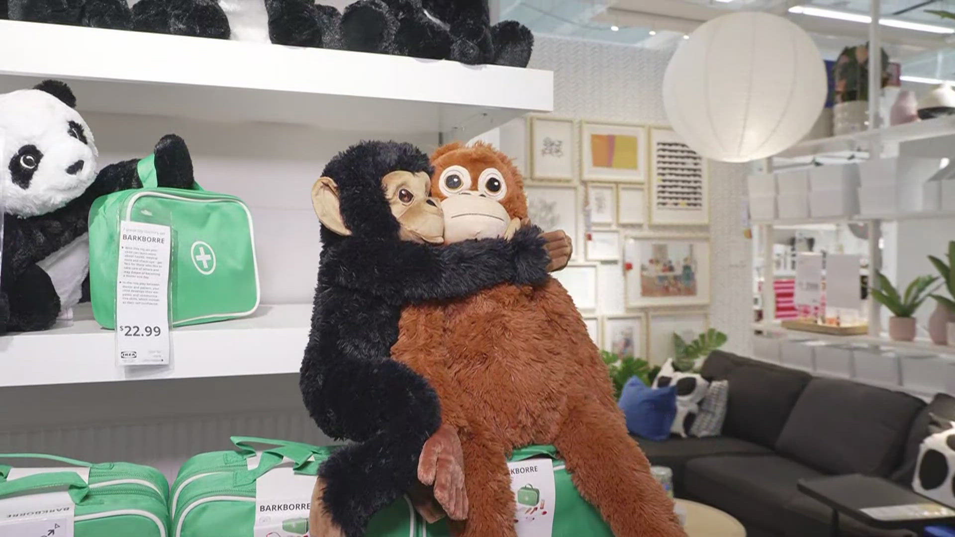 A new small concept IKEA is opening in Dallas this week