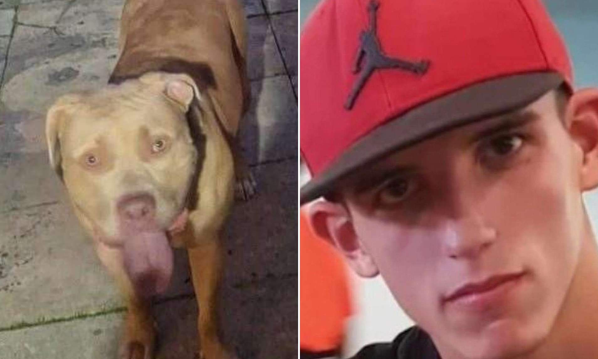 Teenage owner of dangerous XL Bully that left baby girl in a coma is ...