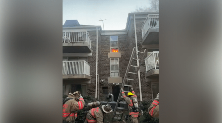 Family displaced, several cats rescued after apartment fire in Aspen Hill