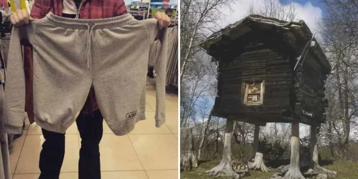 Bizarre posts that confused the internet