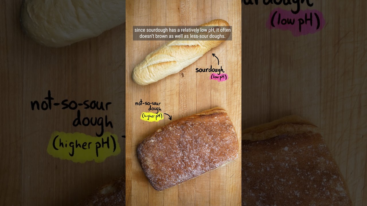 Why your sourdough bread isn't getting brown + butter vs. oil: Which ...