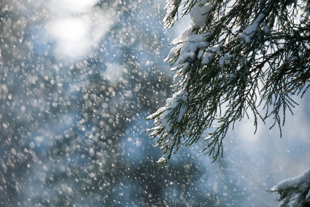 Snow showers expected in parts of the UK during 'brief cooler spell'