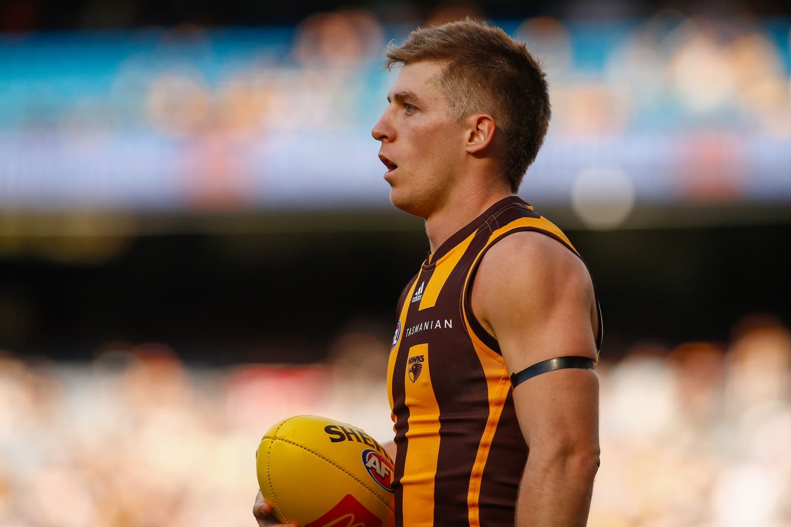 Hawthorn duo arrested during off-season trip to US
